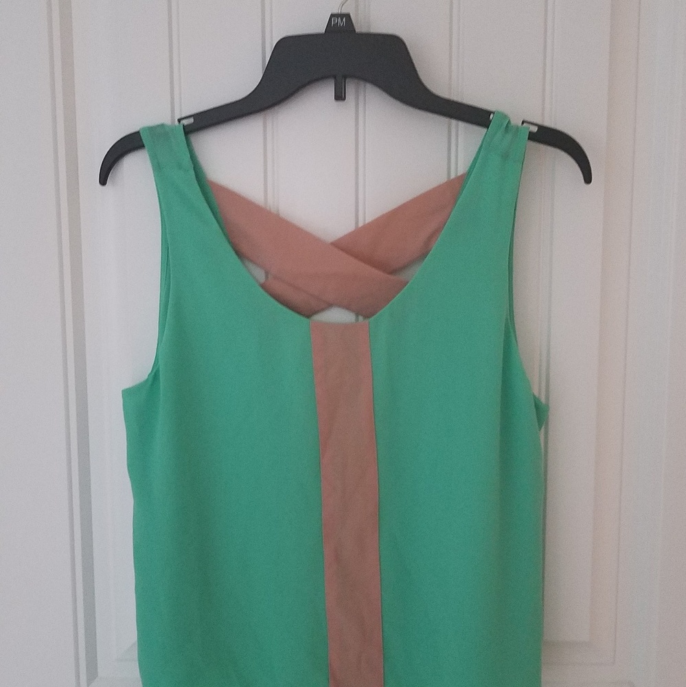 Naked Zebra Mint Green Chiffon Tank Top Blouse Lg